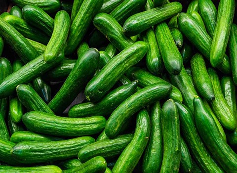 تصویر 3 از قیمت خرید خیار قلمی ریز  + فروش ویژه